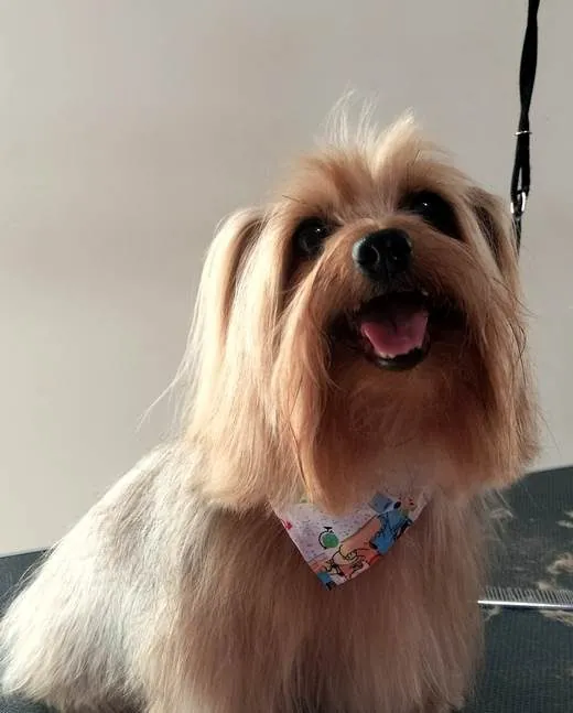 Tommy en Villa Patitaas